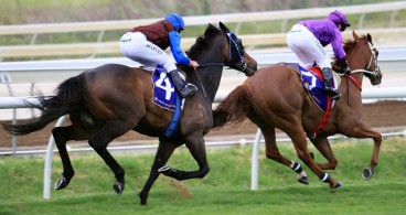 Lee Steere Stakes Preview